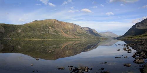 nature-3272042_960_720.jpg
