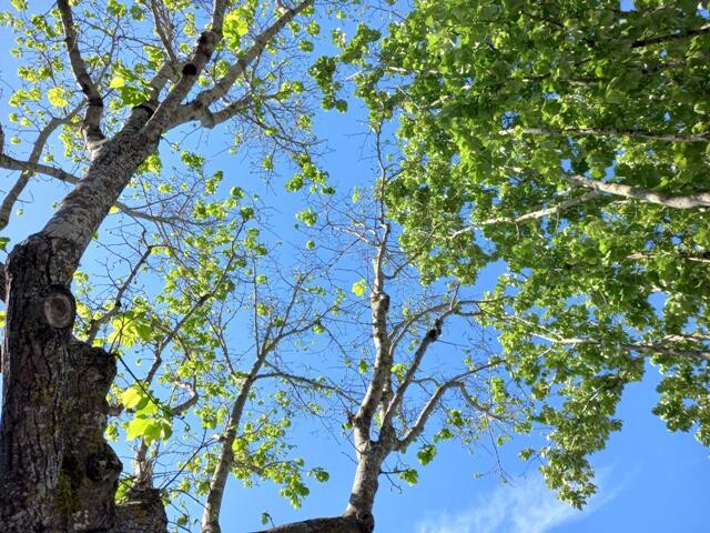 438086121_7389494567832451_5537968711921235205_n.j