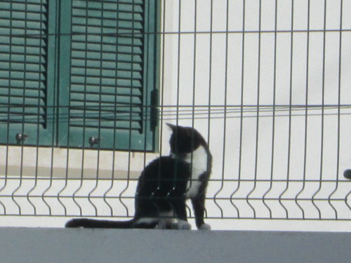 IMG_4744.JPG IMG_4744.JPG