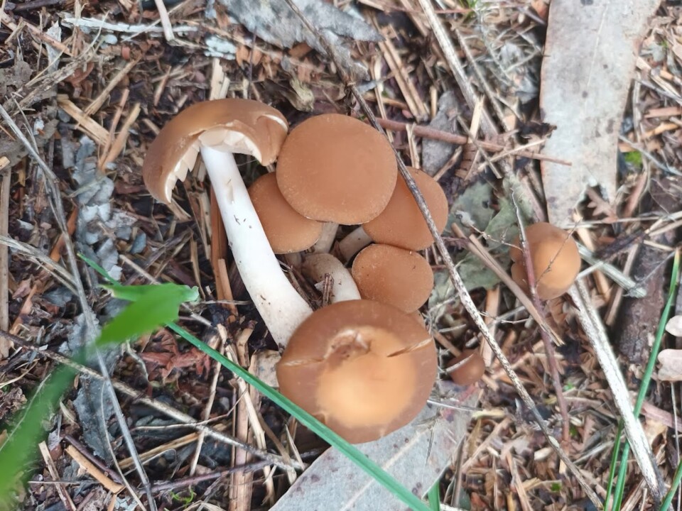 Não me canso disto inverno2.jpg