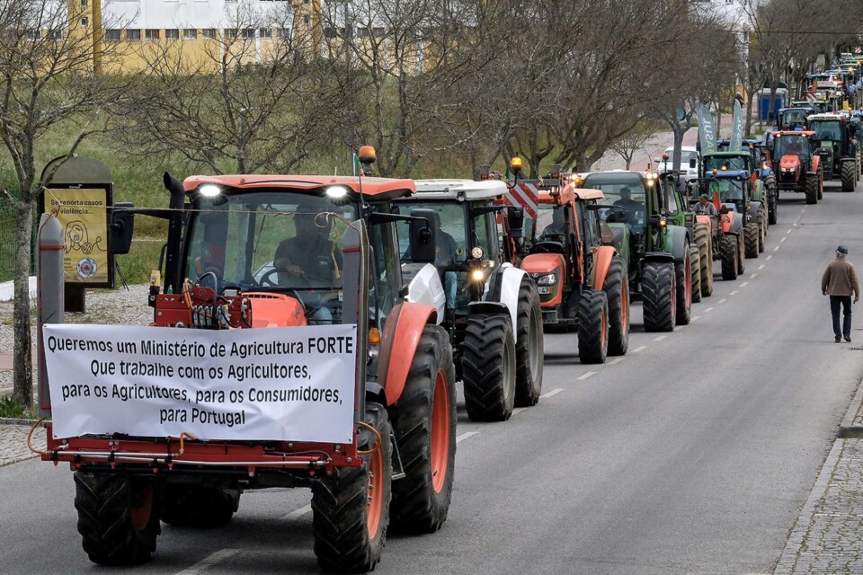 ..agricultura portugal.jpg