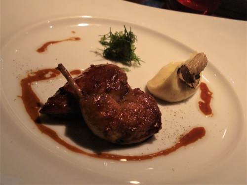 DSC08165.jpg
