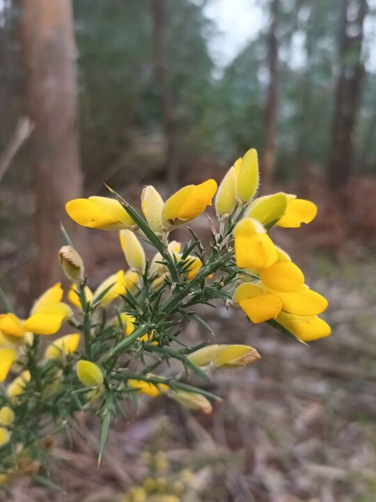 Não me canso disto inverno4.jpg
