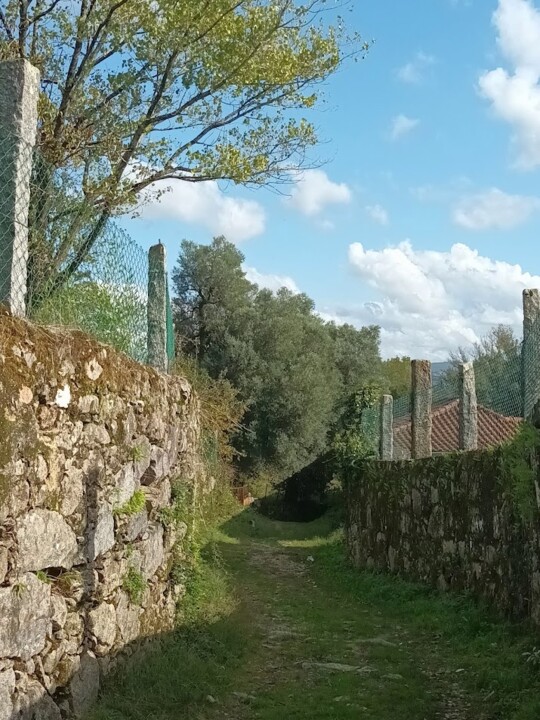 Não me canso disto outono3.jpg