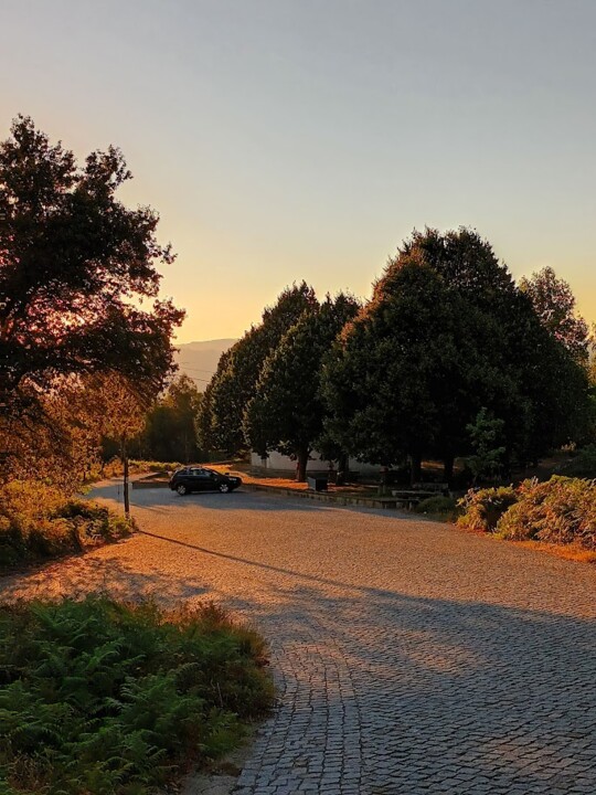 Não me canso disto_Afonsoaniv_8.jpg