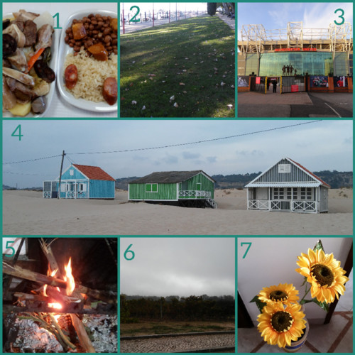 CollageMaker_20171105_091343598.jpg