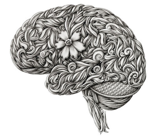 brain-drawings-alex.jpg