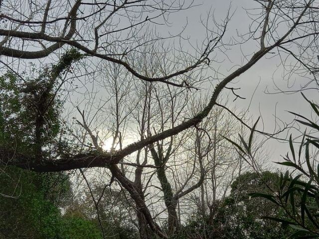 331915071_5900107376745995_1187138303847471591_n.j