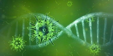 coronavirus-4833754_1280.jpg coronavirus-4833754_1280.jpg