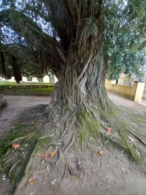 258756858_629290841763734_4563783629661834975_n.jp