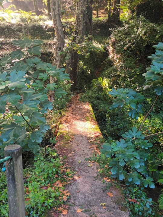Não me canso disto_caminhada4.jpg