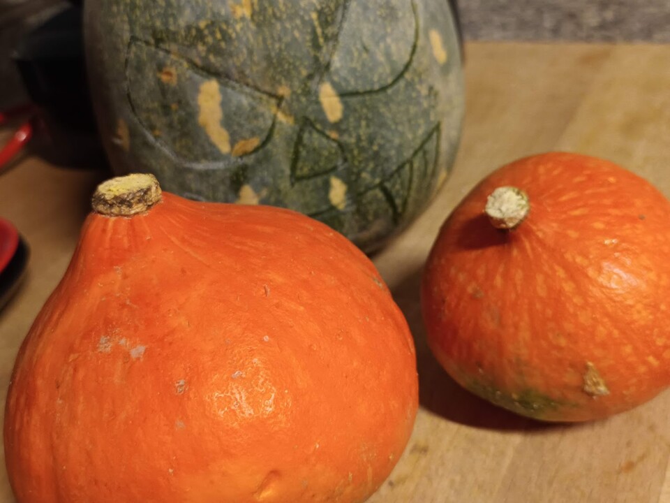 Não me canso disto abóbora1.jpg