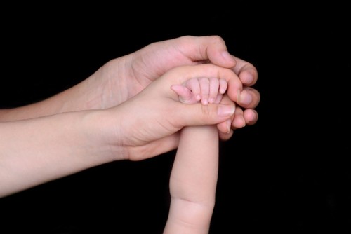 progenitor descomprometido progenitor descomprometido