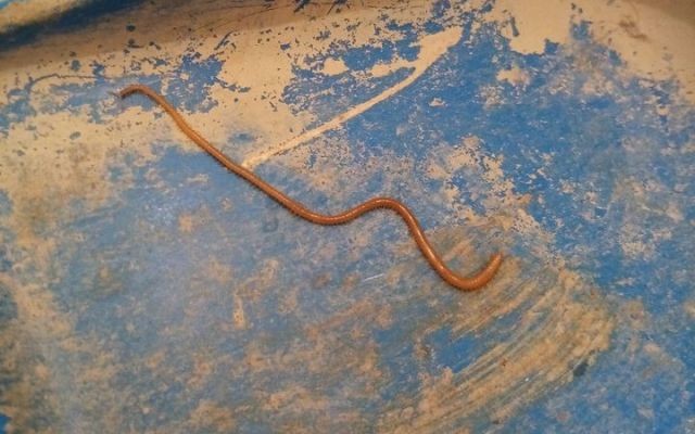 122023642_406382793856074_8425559418841408215_o.jp