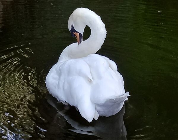 20220828_180404 (1).jpg