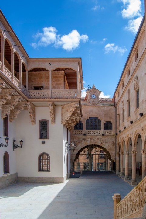 Palacio-de-la-Salina-salamanca1.jpg