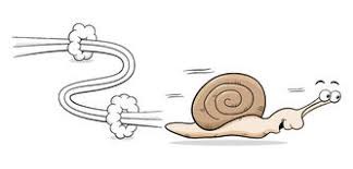 caracol.jpg caracol.jpg