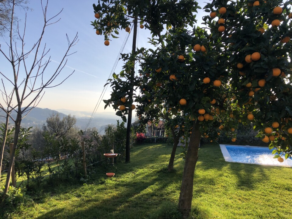 IMG_4359.jpeg