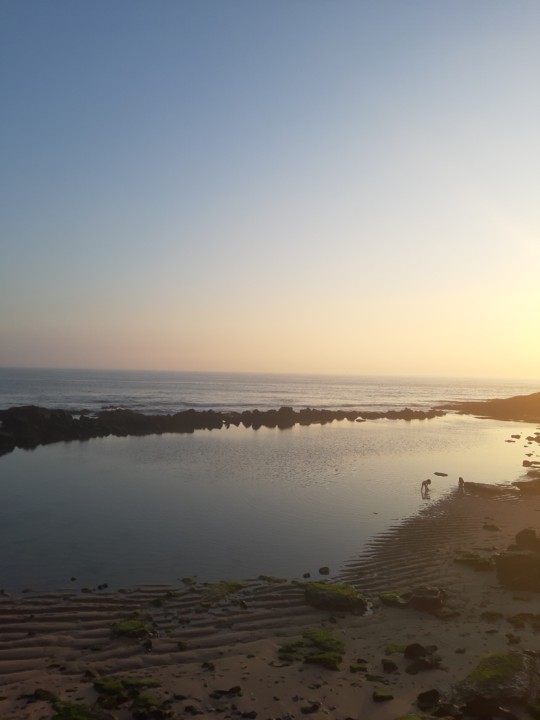 20190830_194747.jpg