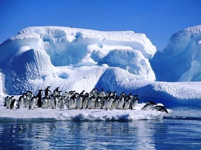 antártida-pinguis-gelo-alterações-climáticas.j antártida-pinguis-gelo-alterações-climáticas.j