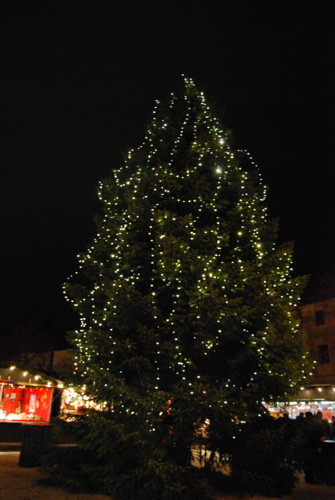 DSC_1362.JPG