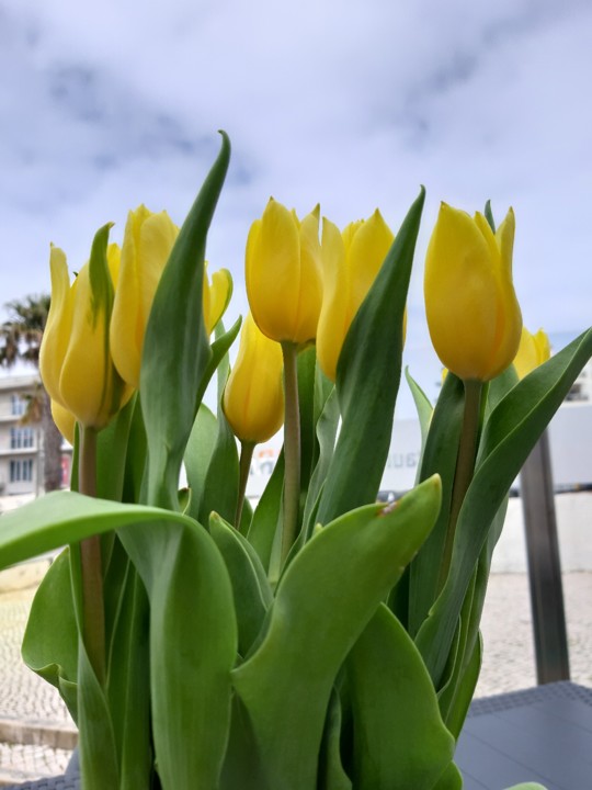 20190506_124102.jpg