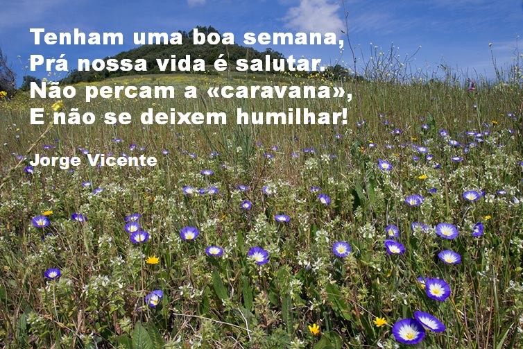 Boa semana..jpg Boa semana..jpg