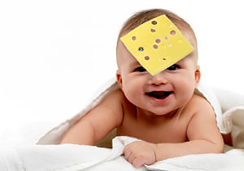 HD Cheese Challenge.jpg