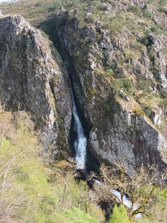 Não me canso disto_Pitoes.jpg