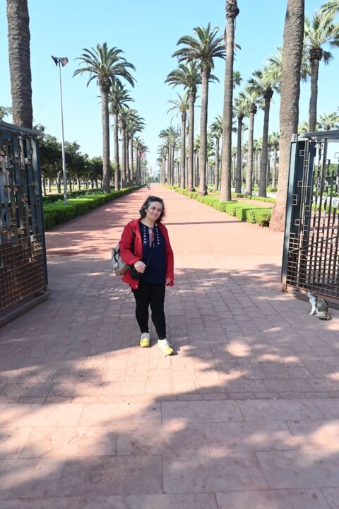Não me canso disto Casablanca1.JPG