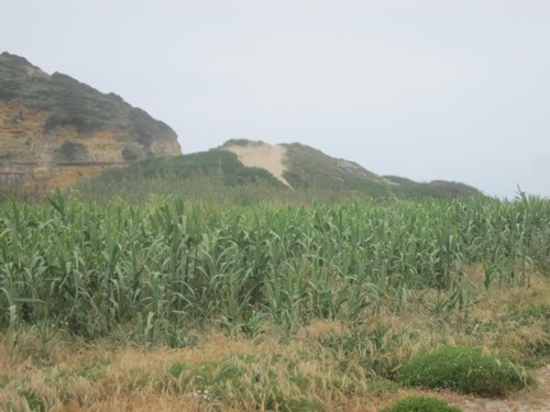 33042168_1652206921561273_4877855565646135296_n.jp