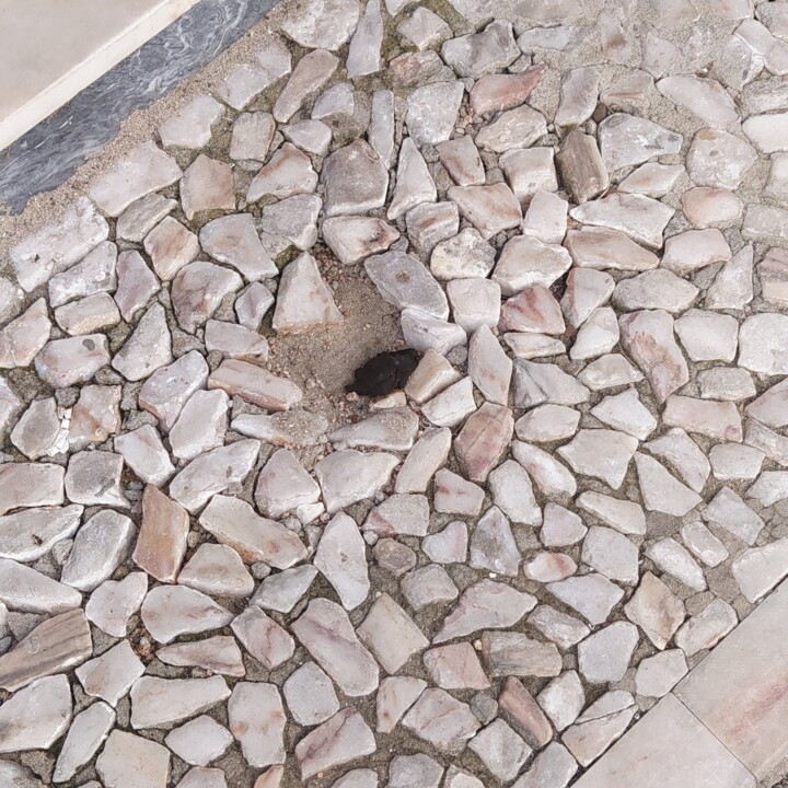 IMG_20220510_174301 (1) (cópia).jpg