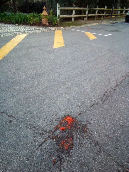 Roja pé, Algarve — (c) 2022.