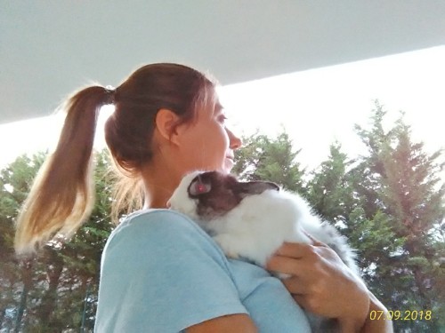 Gesto de carinho_fluffy.jpeg Gesto de carinho_fluffy.jpeg