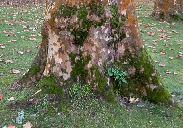 259388054_615675679778230_9198193281323460883_n.jp