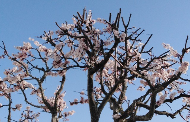 155770139_3683117548470190_5438603725584446939_o.j