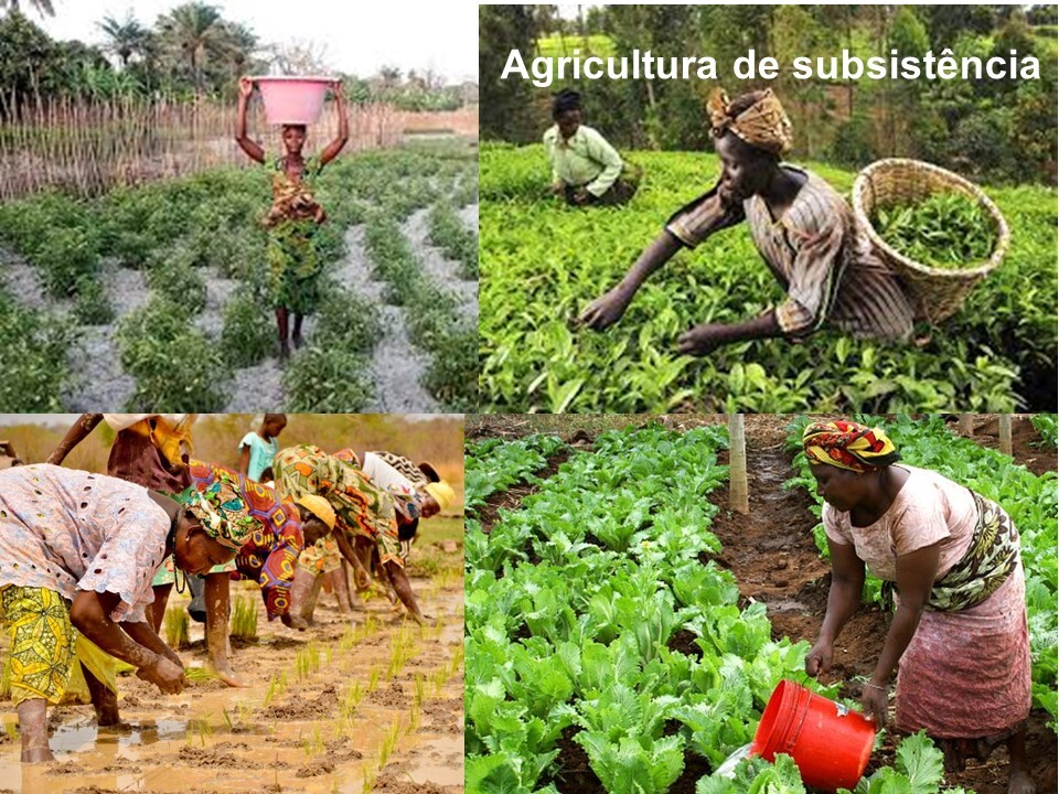 ...Africa agri1.jpg