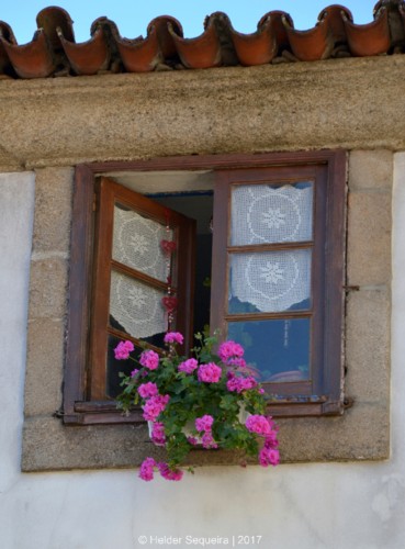 janela - guarda - HS.jpg