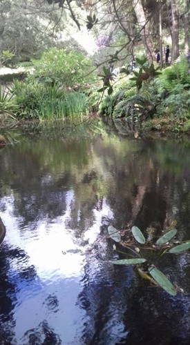 18556178_1309825762466059_4635152478809917625_n.jp