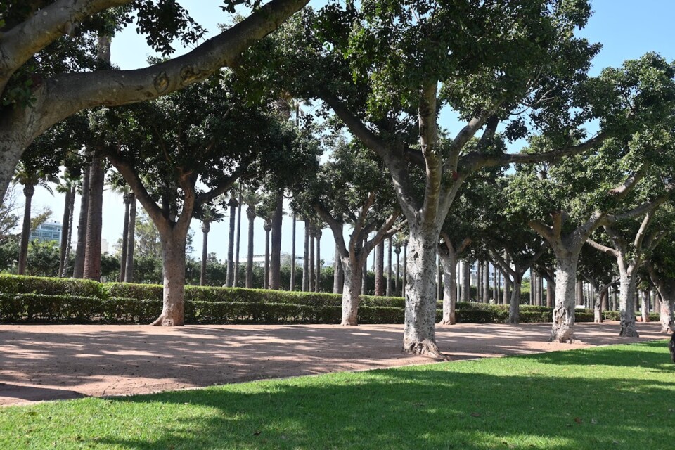 Não me canso disto Casablanca4.JPG