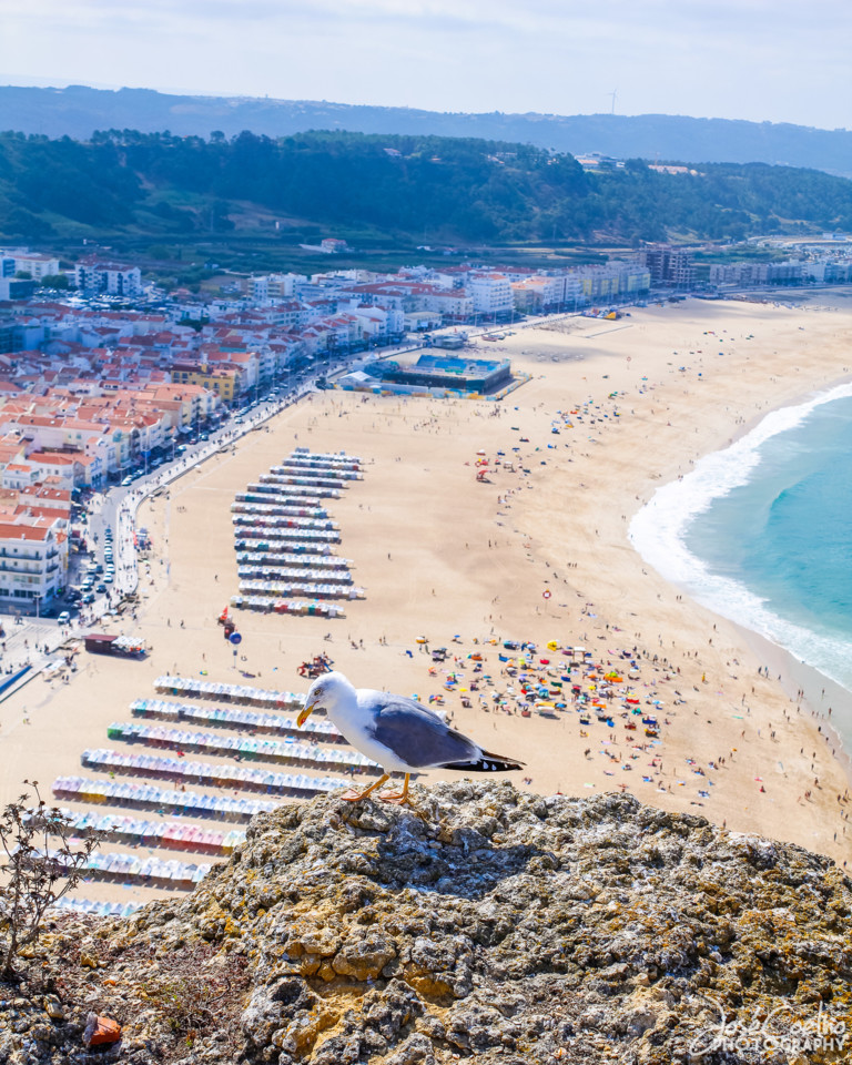 nazaré  (31).jpg
