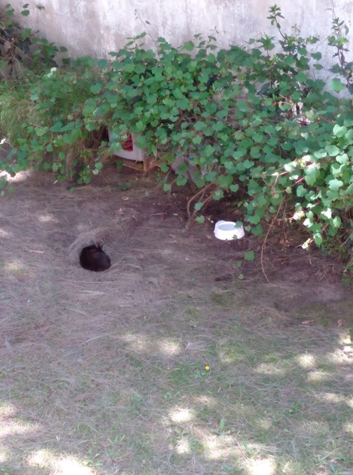 95761202_1298921773641621_4193789475802841088_o[1]