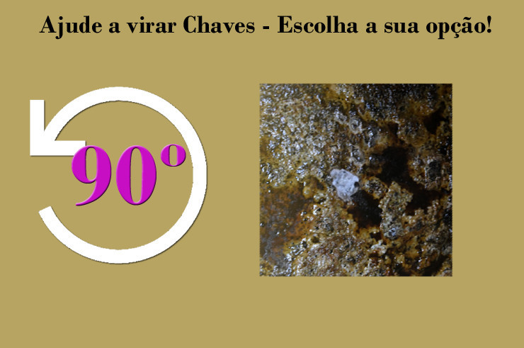 Ajude a virar Chaves 90.jpg