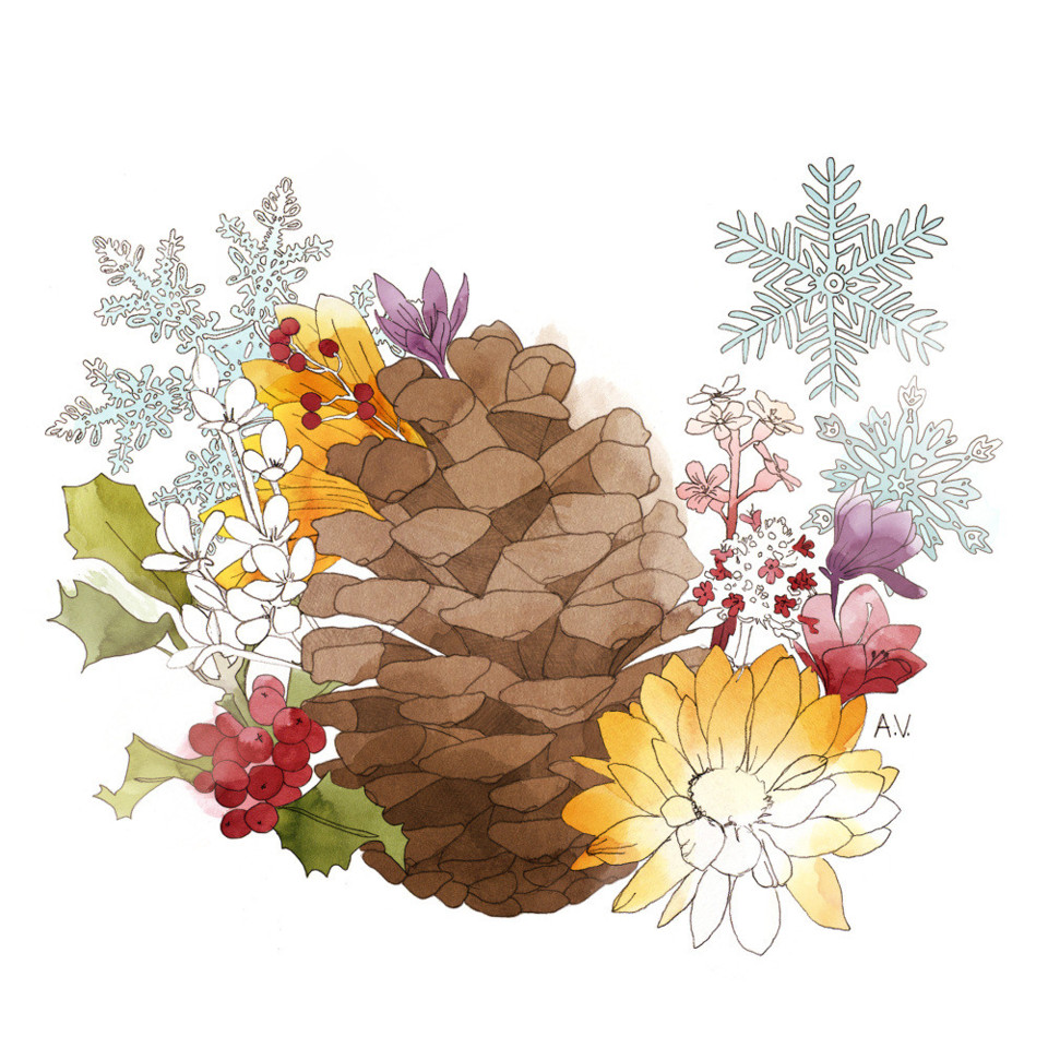 florest.jpg florest.jpg