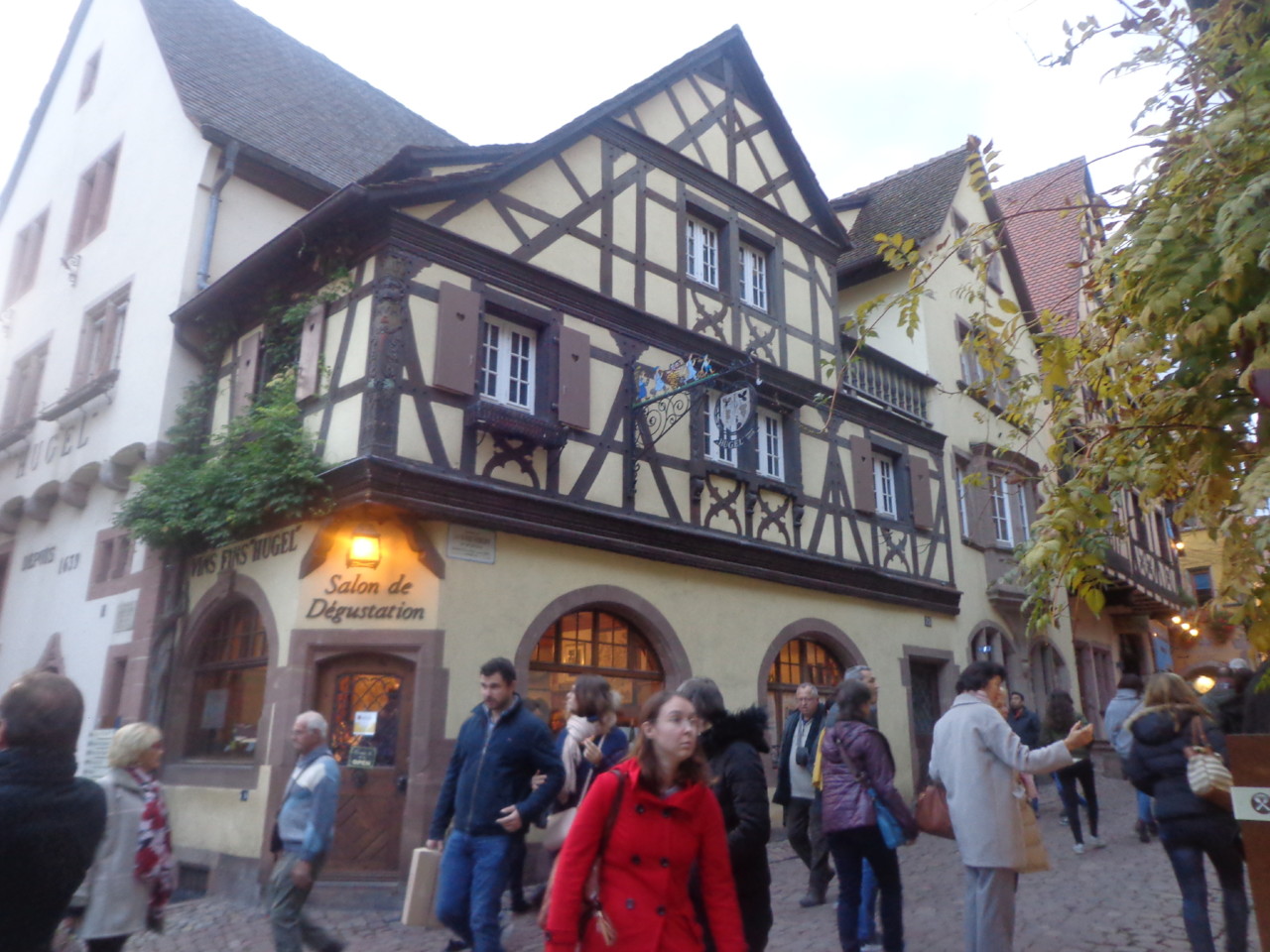 DSC06634.JPG