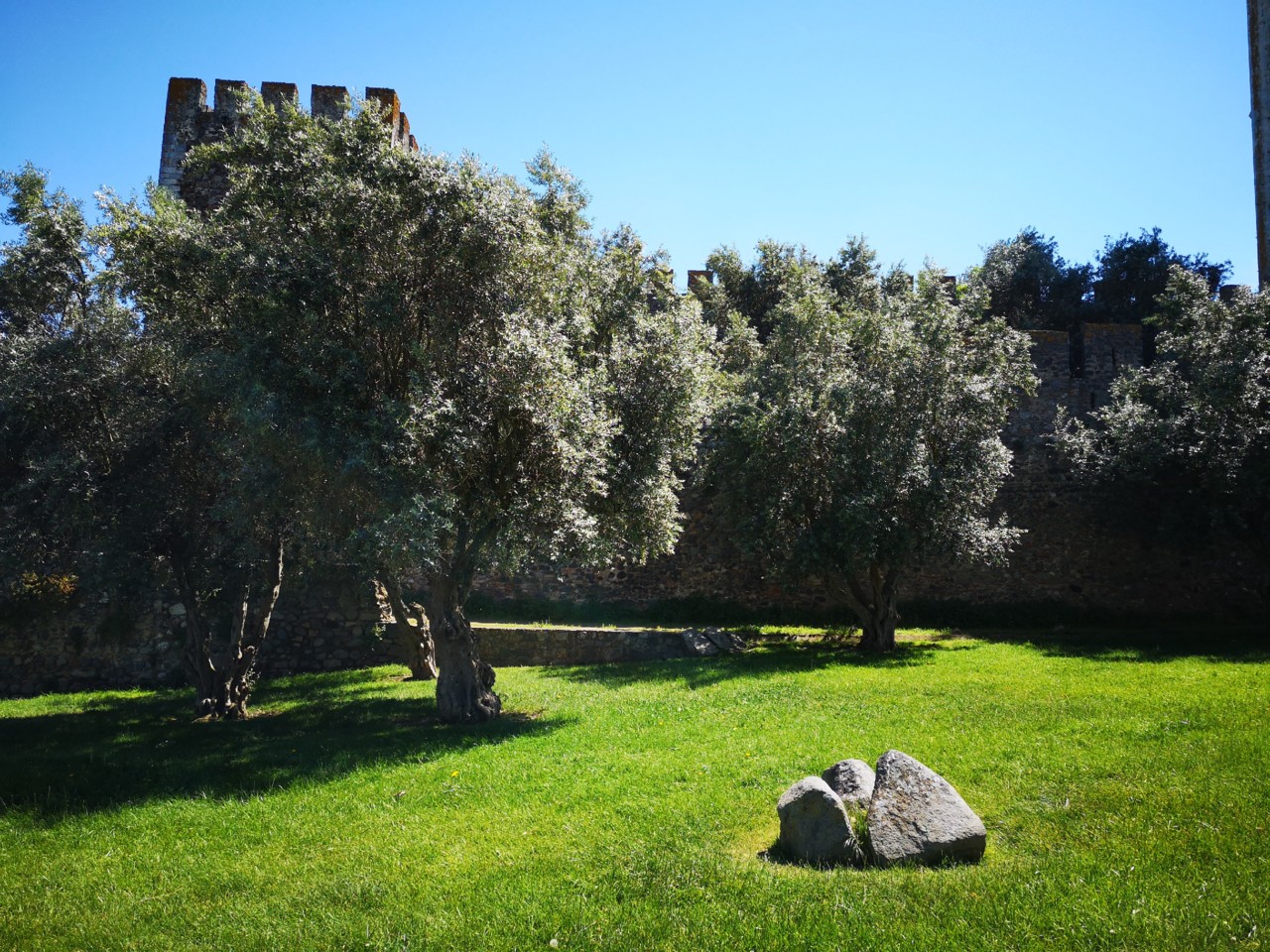 Muralha de Beja tapada (2).jpg