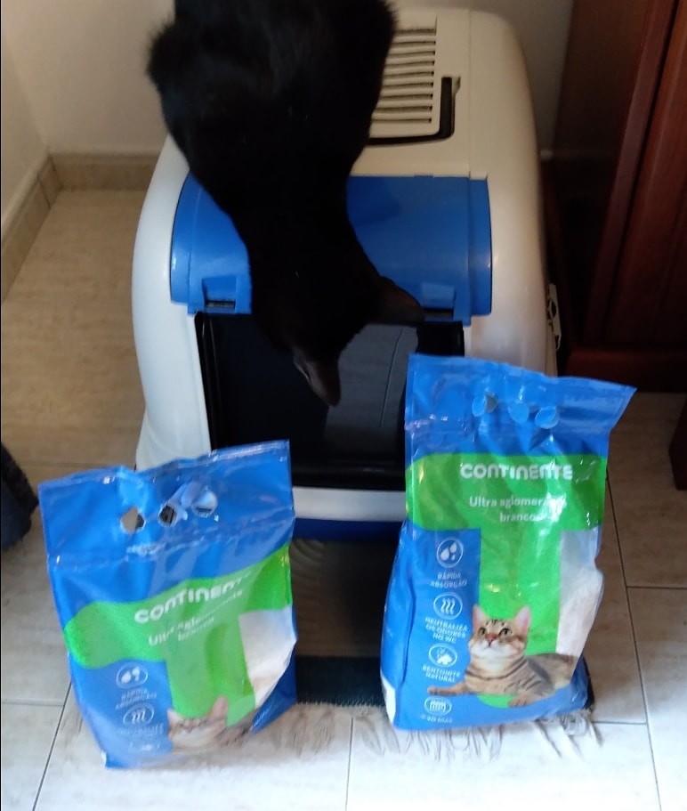 IMG_20191115_151554_023.jpg IMG_20191115_151554_023.jpg