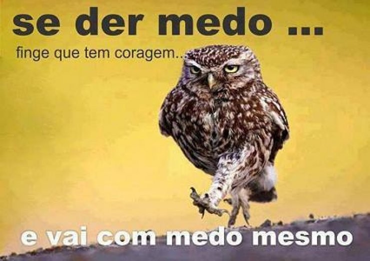 medo.jpg
