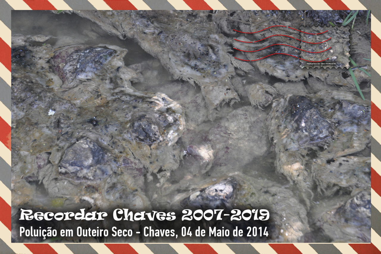 Colecção de 13 Postais Recordar Chaves 2014.jpg
