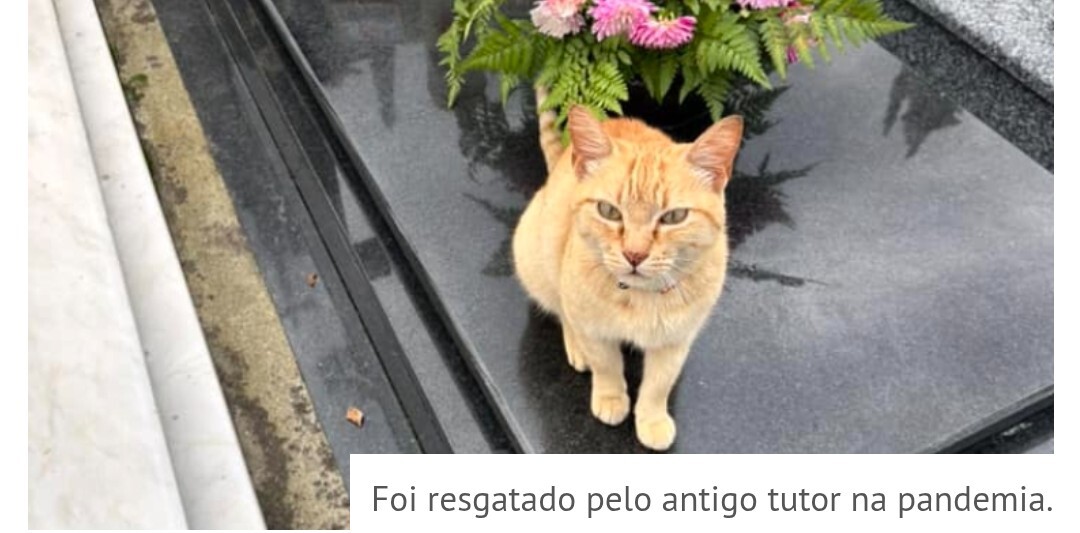 Screenshot_2025-02-28-18-30-06-579_com.facebook.ka